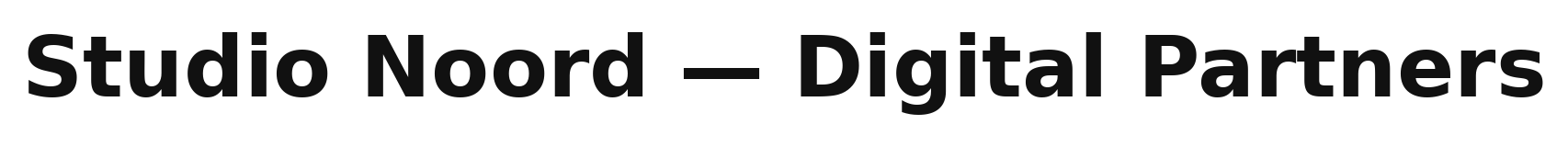 Studio Noord — Digital Partners
